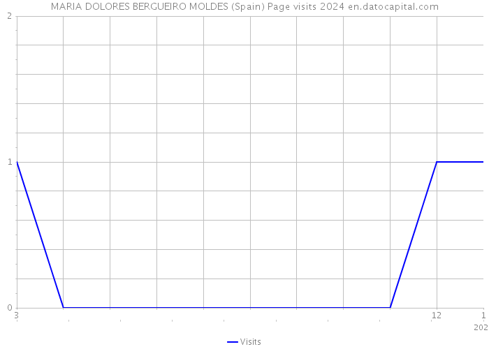 MARIA DOLORES BERGUEIRO MOLDES (Spain) Page visits 2024 