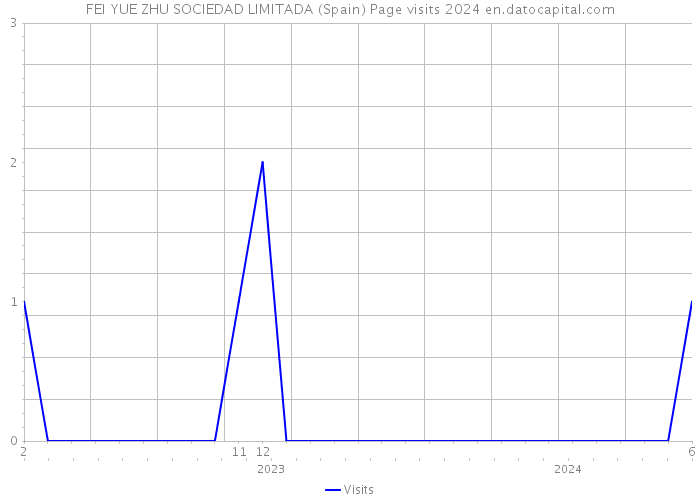 FEI YUE ZHU SOCIEDAD LIMITADA (Spain) Page visits 2024 