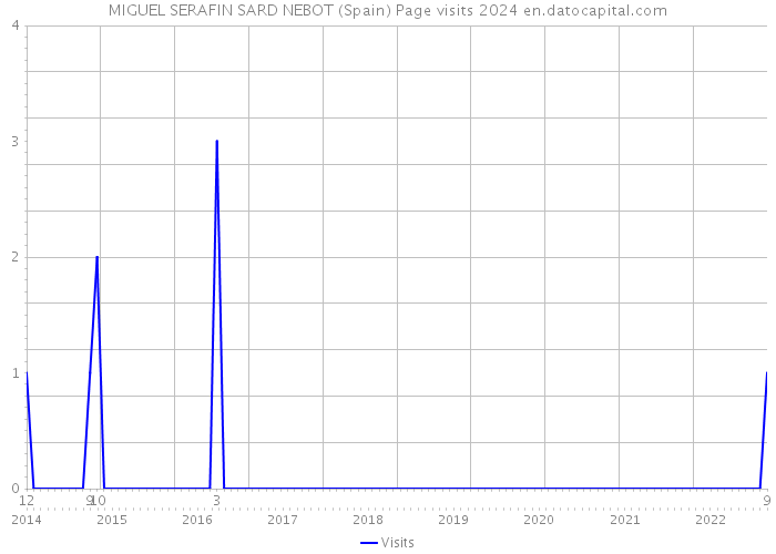 MIGUEL SERAFIN SARD NEBOT (Spain) Page visits 2024 