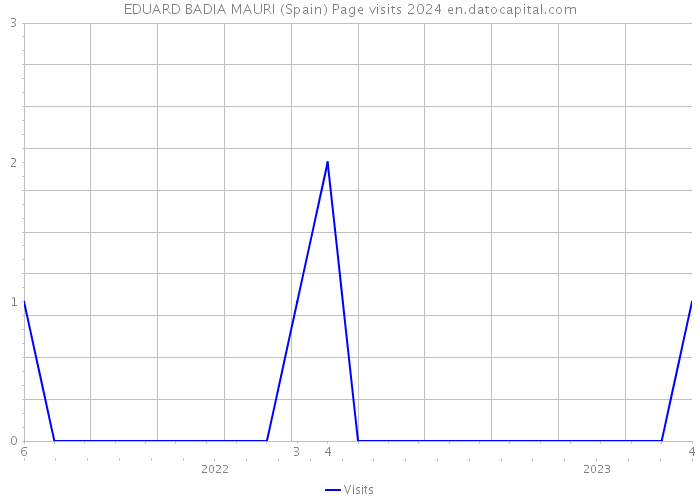 EDUARD BADIA MAURI (Spain) Page visits 2024 
