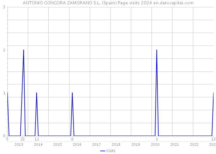 ANTONIO GONGORA ZAMORANO S.L. (Spain) Page visits 2024 