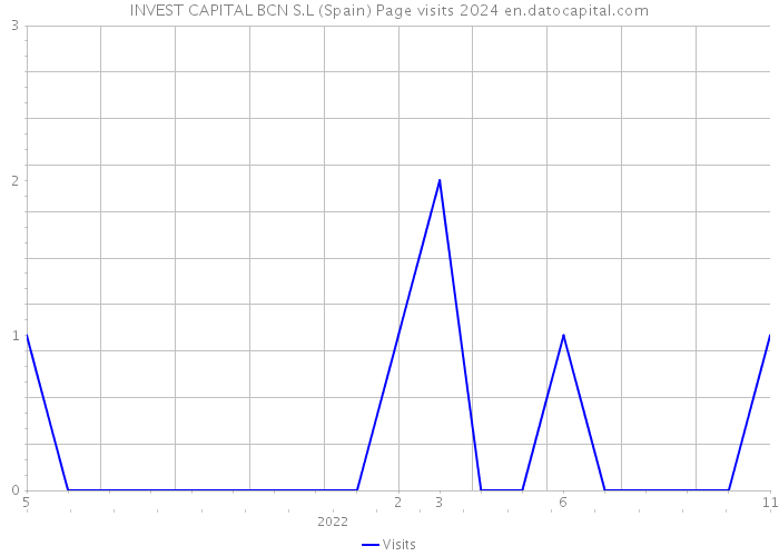 INVEST CAPITAL BCN S.L (Spain) Page visits 2024 