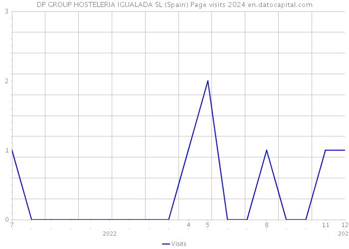 DP GROUP HOSTELERIA IGUALADA SL (Spain) Page visits 2024 