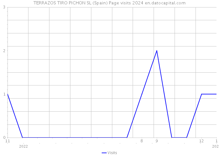 TERRAZOS TIRO PICHON SL (Spain) Page visits 2024 