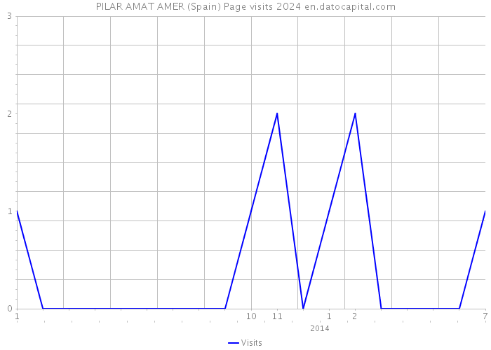 PILAR AMAT AMER (Spain) Page visits 2024 