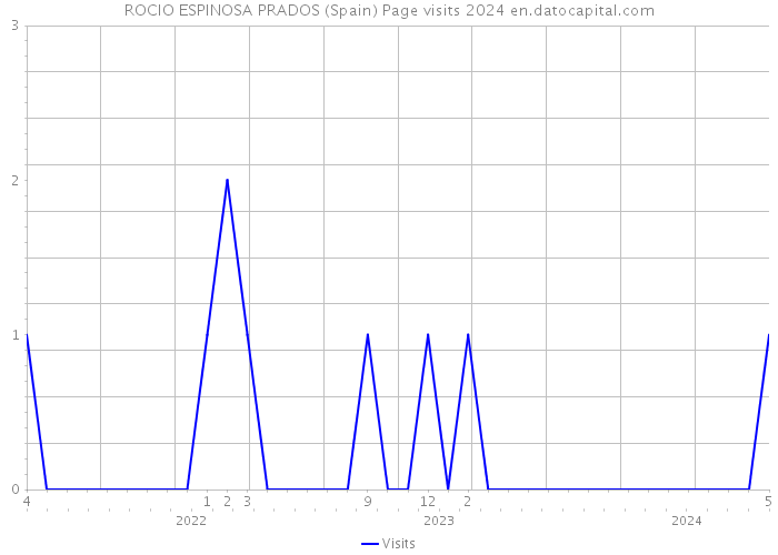 ROCIO ESPINOSA PRADOS (Spain) Page visits 2024 