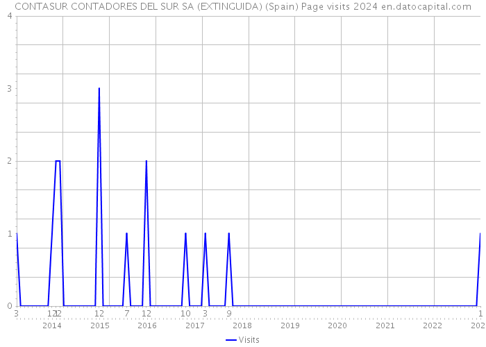 CONTASUR CONTADORES DEL SUR SA (EXTINGUIDA) (Spain) Page visits 2024 