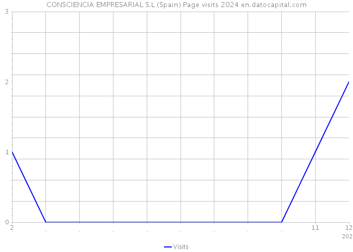CONSCIENCIA EMPRESARIAL S.L (Spain) Page visits 2024 