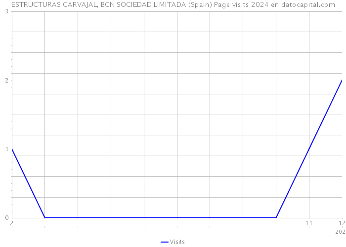 ESTRUCTURAS CARVAJAL, BCN SOCIEDAD LIMITADA (Spain) Page visits 2024 