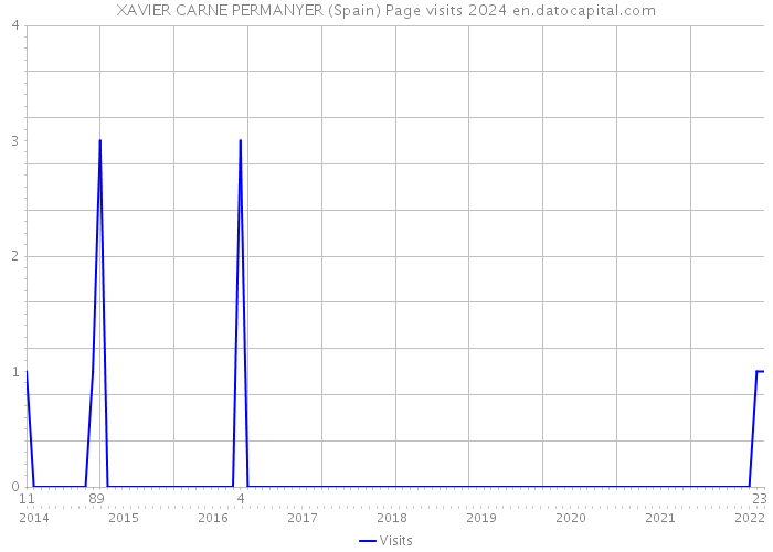 XAVIER CARNE PERMANYER (Spain) Page visits 2024 