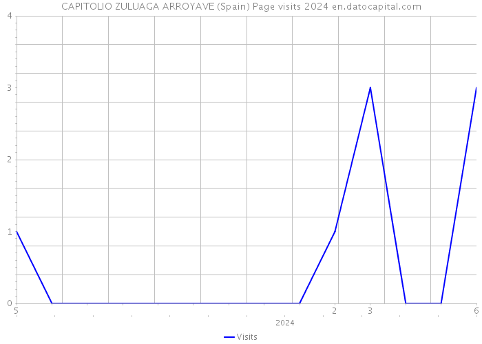 CAPITOLIO ZULUAGA ARROYAVE (Spain) Page visits 2024 