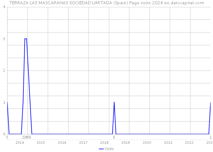 TERRAZA LAS MASCARANAS SOCIEDAD LIMITADA (Spain) Page visits 2024 