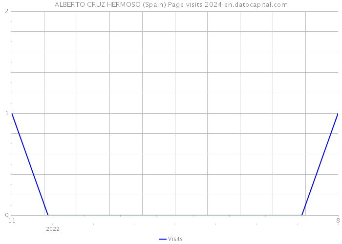 ALBERTO CRUZ HERMOSO (Spain) Page visits 2024 