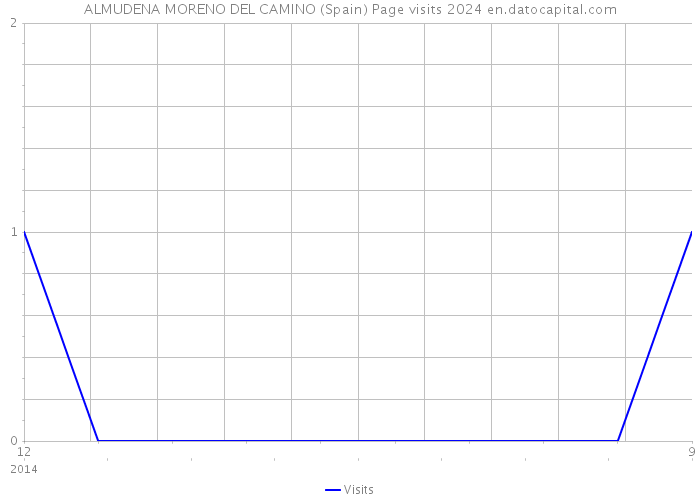 ALMUDENA MORENO DEL CAMINO (Spain) Page visits 2024 