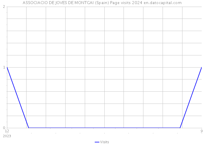 ASSOCIACIO DE JOVES DE MONTGAI (Spain) Page visits 2024 