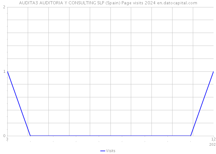 AUDITA3 AUDITORIA Y CONSULTING SLP (Spain) Page visits 2024 