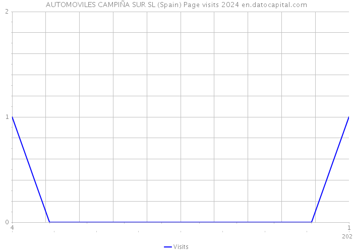 AUTOMOVILES CAMPIÑA SUR SL (Spain) Page visits 2024 