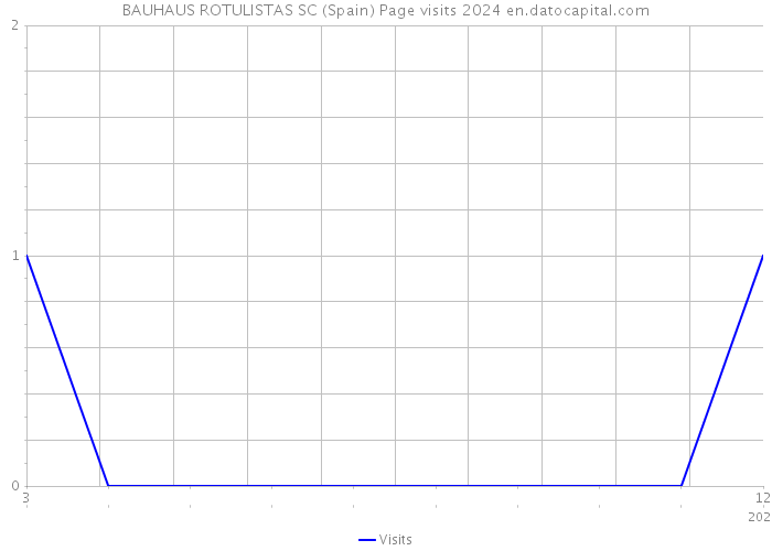 BAUHAUS ROTULISTAS SC (Spain) Page visits 2024 