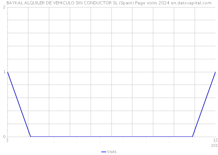 BAYKAL ALQUILER DE VEHICULO SIN CONDUCTOR SL (Spain) Page visits 2024 