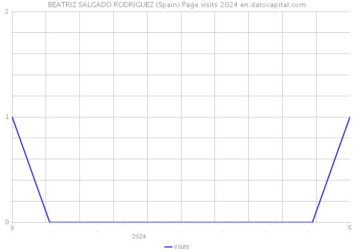 BEATRIZ SALGADO RODRIGUEZ (Spain) Page visits 2024 