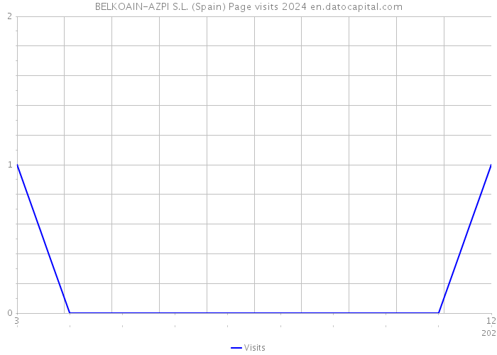 BELKOAIN-AZPI S.L. (Spain) Page visits 2024 