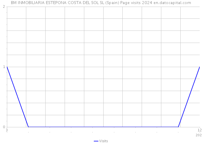 BM INMOBILIARIA ESTEPONA COSTA DEL SOL SL (Spain) Page visits 2024 