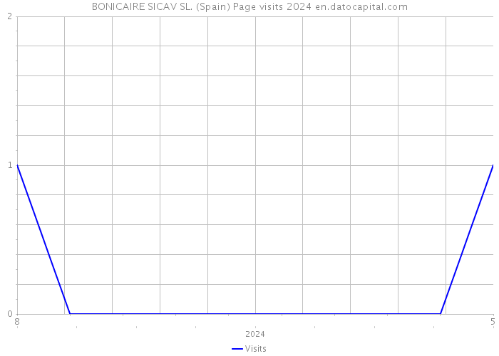 BONICAIRE SICAV SL. (Spain) Page visits 2024 
