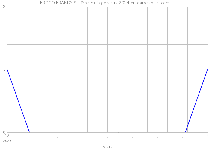 BROCO BRANDS S.L (Spain) Page visits 2024 