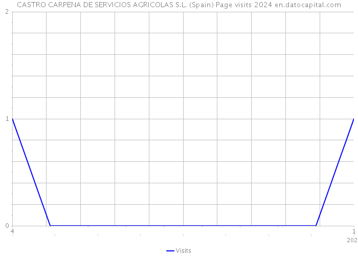 CASTRO CARPENA DE SERVICIOS AGRICOLAS S.L. (Spain) Page visits 2024 