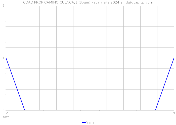 CDAD PROP CAMINO CUENCA,1 (Spain) Page visits 2024 