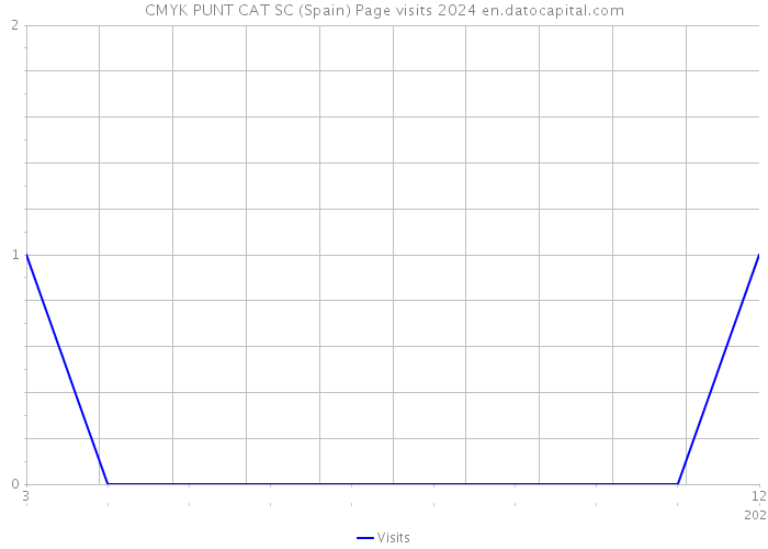 CMYK PUNT CAT SC (Spain) Page visits 2024 