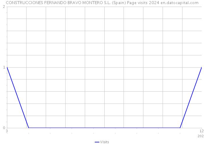 CONSTRUCCIONES FERNANDO BRAVO MONTERO S.L. (Spain) Page visits 2024 