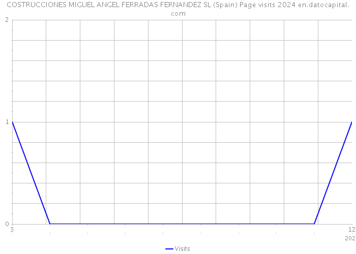 COSTRUCCIONES MIGUEL ANGEL FERRADAS FERNANDEZ SL (Spain) Page visits 2024 