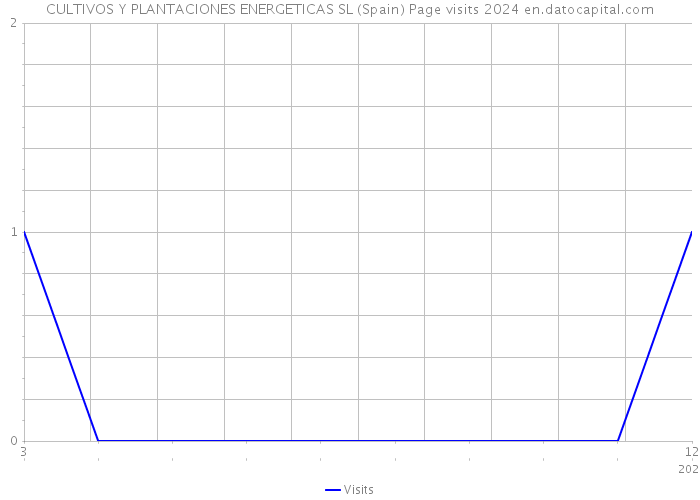 CULTIVOS Y PLANTACIONES ENERGETICAS SL (Spain) Page visits 2024 