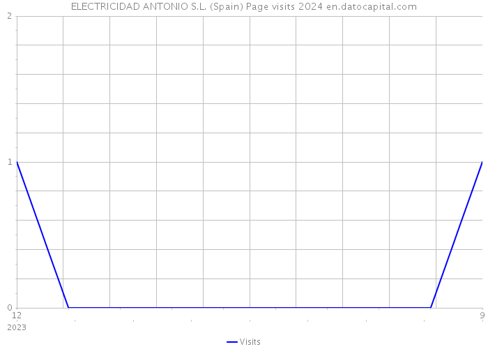 ELECTRICIDAD ANTONIO S.L. (Spain) Page visits 2024 