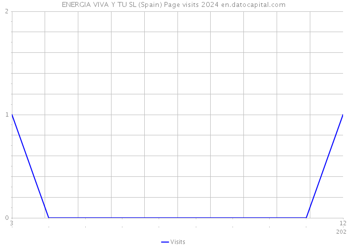 ENERGIA VIVA Y TU SL (Spain) Page visits 2024 