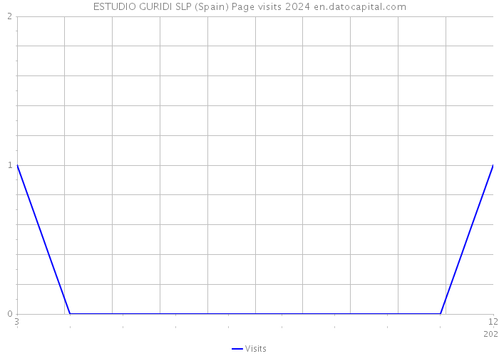 ESTUDIO GURIDI SLP (Spain) Page visits 2024 