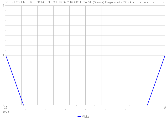 EXPERTOS EN EFICIENCIA ENERGETICA Y ROBOTICA SL (Spain) Page visits 2024 