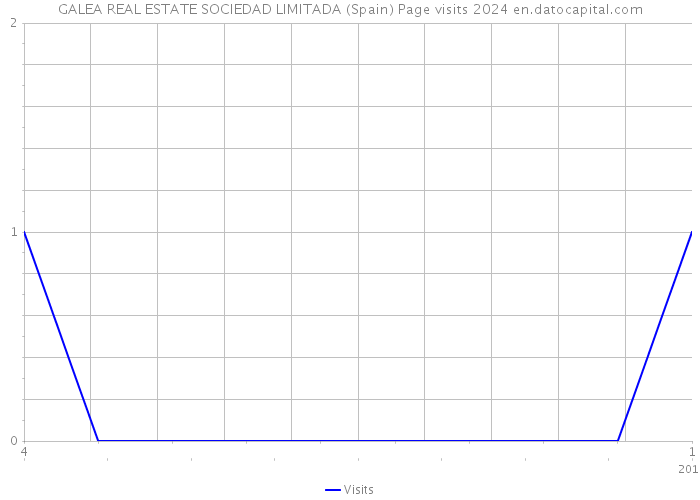 GALEA REAL ESTATE SOCIEDAD LIMITADA (Spain) Page visits 2024 