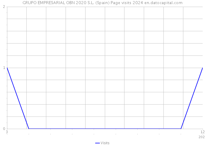 GRUPO EMPRESARIAL OBN 2020 S.L. (Spain) Page visits 2024 