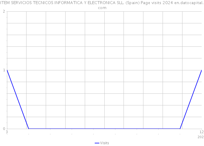 ITEM SERVICIOS TECNICOS INFORMATICA Y ELECTRONICA SLL. (Spain) Page visits 2024 