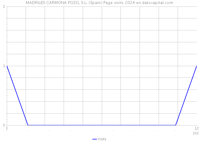 MADRILES CARMONA POZO, S.L. (Spain) Page visits 2024 