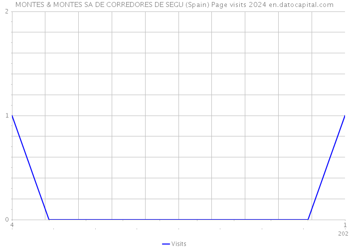 MONTES & MONTES SA DE CORREDORES DE SEGU (Spain) Page visits 2024 