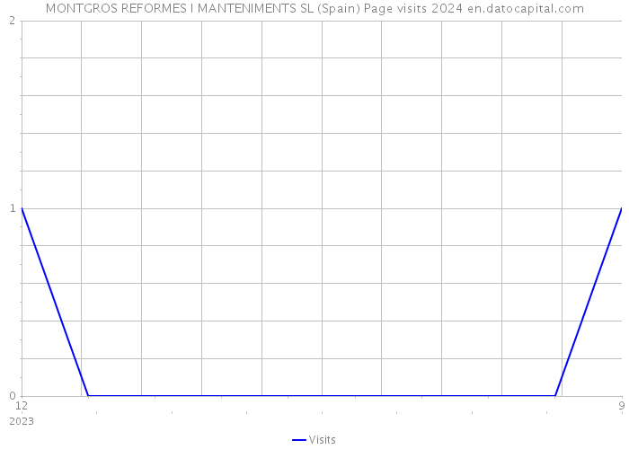 MONTGROS REFORMES I MANTENIMENTS SL (Spain) Page visits 2024 