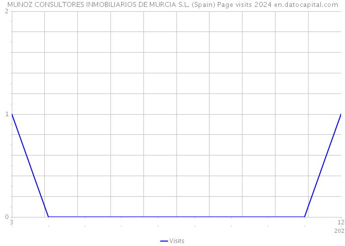 MUNOZ CONSULTORES INMOBILIARIOS DE MURCIA S.L. (Spain) Page visits 2024 