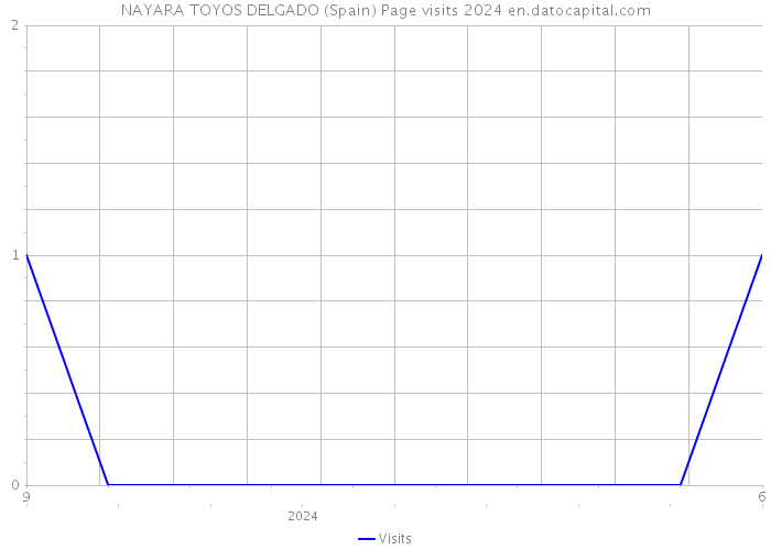 NAYARA TOYOS DELGADO (Spain) Page visits 2024 