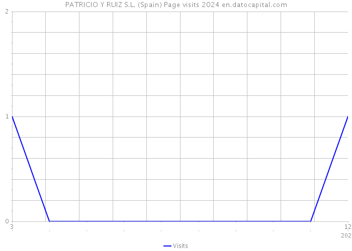 PATRICIO Y RUIZ S.L. (Spain) Page visits 2024 