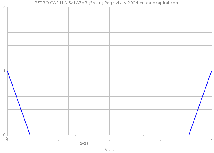 PEDRO CAPILLA SALAZAR (Spain) Page visits 2024 