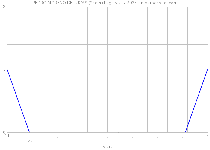 PEDRO MORENO DE LUCAS (Spain) Page visits 2024 