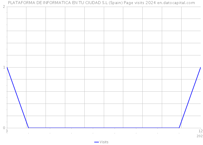 PLATAFORMA DE INFORMATICA EN TU CIUDAD S.L (Spain) Page visits 2024 